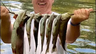 Trout fishing limited out
