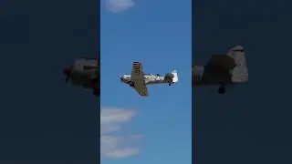 T-6 Texans On the Go at EAA AirVenture | Classic Warbirds in Action#eaa #warbirds #aviation