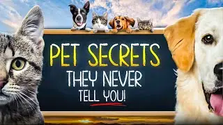 New Pet Parent? TOP 2 Care Tips for a Smooth Start | Happy & Healthy Pets | Pet Travel & Care
