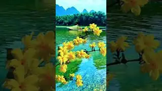 Mystical Adventure in a Hidden Valley