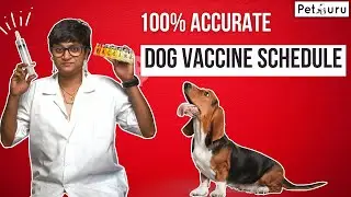 Doctor Explains DOG VACCINATION Schedule in Hindi - complete information