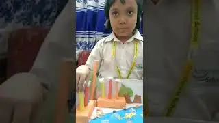 Anti Kabir of class two is explaining about Environment Pollution.