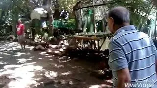 #FEELCAMIGUIN