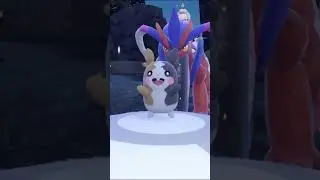 Pok&eacute;mon EGG kitami 095 Morpeko Shiny   #short #pokemon #shinyhunting #shinypokemon