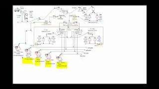 AggFlow Validation with Photo Gradations