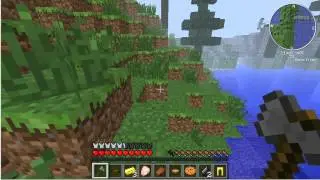 Minecraft The survival games