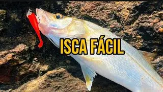 Como pegar robalo f&aacute;cil: 3 fisgadas com uma isca simples