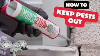 How to Keep Pests Out 🐀⛔️ | MouseStop Original ✅