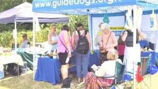 Highams Park Day 2013 HiFi Edition