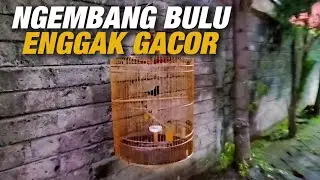 Нормально это или нет‼️Что вы будете делать дальше?