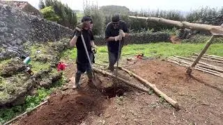 We Build The Pig Shelter and The Stubborn Fatsos Won’t Move! Terceira Island Azores Portugal