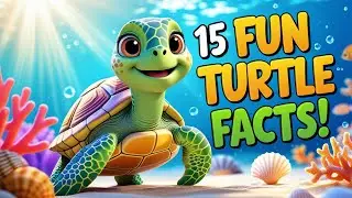 Turtle Facts for Kids 15 Amazing Things About Turtles to Know #learning #kidslearning #animation #yt