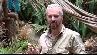 SPAM&reg; Chopped Pork and Ham in I'm a Celebrity... Get Me Out of Here