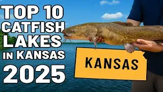 Top 10 Catfish Lakes in Kansas 2025