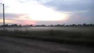 Прошёл дождь после жаркого дня.