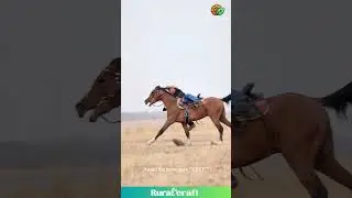 BRUTAL Horse Fall! Rider VIOLENTLY EJECTED at High Speed! Watch the SHOCKING Accident! #horsefail