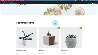 What is Affiliate Marketing and How to Get Started