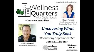Uncovering What You Truly Seek with David McLeod | Wellness Quarters