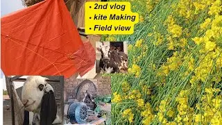 Starting vlog Trial|field view|Kite Making|Goat Framing|countryside view 
