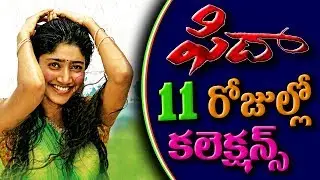 Fidaa 11 Days Collections | Fida 11nd day | Fidaa 11nd day box office collections | Maxi Maxwell