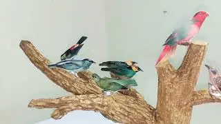 School Project | Tree and Birds | Save Birds