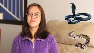 DIFERENÇAS ENTRE SERPENTES, COBRAS E VÍBORAS | Julia Maciel