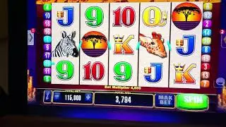 Playing Slots For Fun Ep 57 - Mr Cashman, African Dusk #2