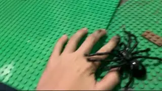 Killing a spider