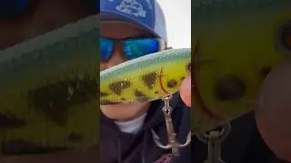 Deadly for BASS #Fishing #Shorts #Subscribe #Like #bass