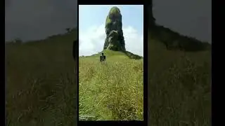 #padargad#trek