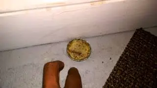 Safe Ant Trap DIY