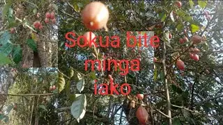 Sokua minengjok.
