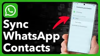 How To Sync WhatsApp Contacts On Android