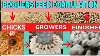 How to  Mix Chicken feeds at home on a poultry farm