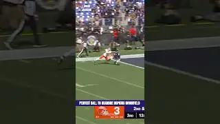 Lamar Jackson Threw a Dot to DeAndre Hopkins 🎯