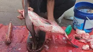 Never Seen