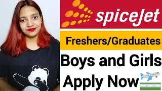 Spicejet Airline Jobs 2020 | Fresher Jobs | Boys and Girls Apply Now (Walk-Ins)