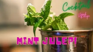Come preparare il MINT JULEP - Ricetta Cocktail