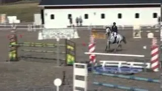 7yo gelding by Calato - Erdall xx