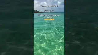 Give a follow to make your vacation to Aruba amazing!! #aruba #arubaonehappyisland #arubatiktok