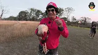 El Juego Del Gallo Euclides con El Bac&aacute;n #acci&oacute;n #aventuras #nature #Sport #Agilidad #f&uacute;tbol