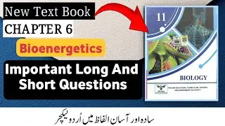 Class 11 Biology Chapter 6 Bioenergetics Important Long & Short Questions | New Book 2025