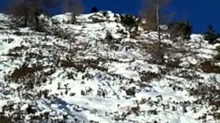 Yeti wurde gesichtet - Ebeneck - M&ouml;lltal