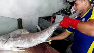 Amberjack Sushi | Delicious Fish | Perfect Fish Fillet