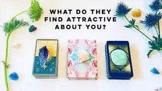 Pick A Card  ✨ 💕 WHAT DO THEY FIND ATTRACTIVE ABOUT ME?  💕 Psychic Tarot Reading