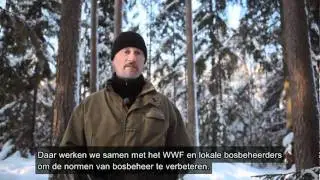 Duurzame bosbouw: duurzaam hout met FSC-certificaat | IKEA