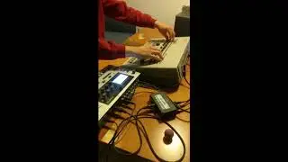 Tr-909, FB383 (TB-303 clone), monomachine electro
