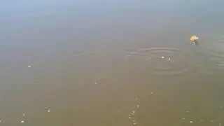 VIDEO00000