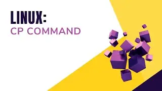 Cp Command || Bash Scripting || Shell Scripting || By Designer Code
