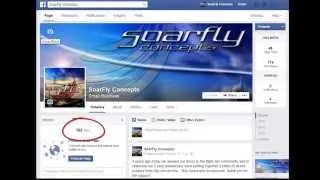 Soarfly's Third Year!!